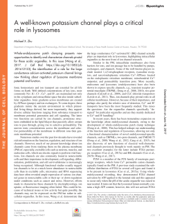 A well-known potassium channel plays a critical role in lysosomes