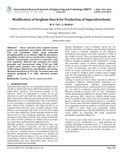 Modification of Sorghum Starch for Production of