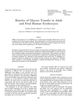 Kinetics of Glucose Transfer in Adult and Fetal Human