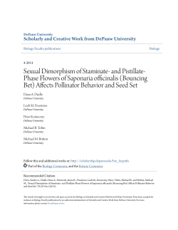 Sexual Dimorphism of Staminate- and Pistillate