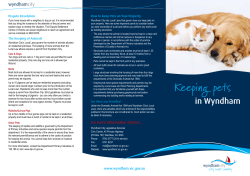 Keeping pets - Wyndham City