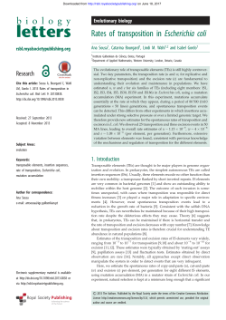 Rates of transposition in Escherichia coli
