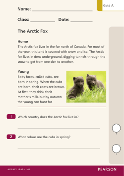 The Arctic Fox - Pearson Schools and FE Colleges