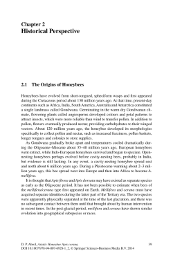 Historical Perspective