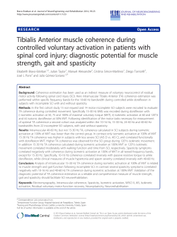 Tibialis Anterior muscle coherence during controlled voluntary