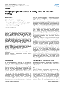 Imaging single molecules in living cells for systems biology