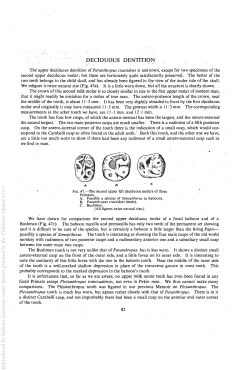 ".,DECIDUOUS DENTiTION
