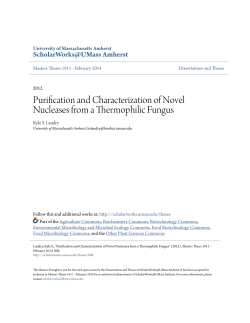 Purification and Characterization of Novel Nucleases from a