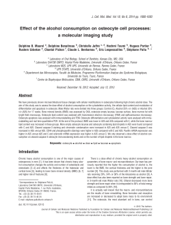 Effect of the alcohol consumption on osteocyte cell processes: a