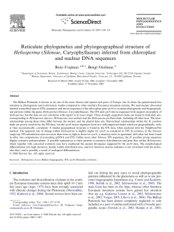 Reticulate phylogenetics and phytogeographical structure of