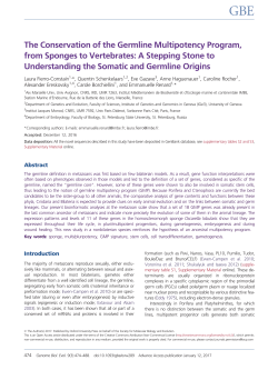 The Conservation of the Germline Multipotency Program, from