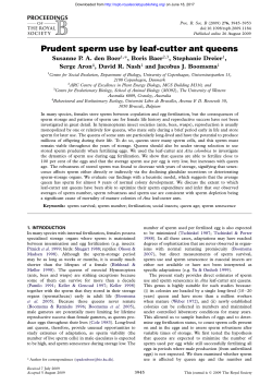 Prudent sperm use by leaf-cutter ant queens