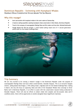 Dominican Republic &ndash; Swimming with Humpback Whales Why this