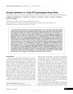 Scrapie epidemic in a fully PrP-genotyped sheep flock