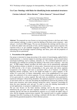 Combining rules and ontology in the context of the brain cortex