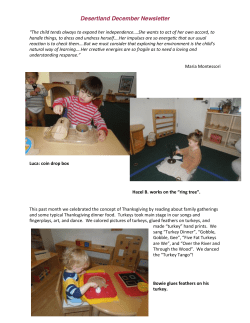 Desertland December Newsletter