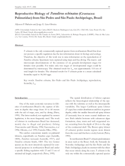 Reproductive Biology of Panulirus echinatus