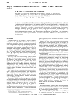 Shape of Phospholipid/Surfactant Mixed Micelles: Cylinders or Disks