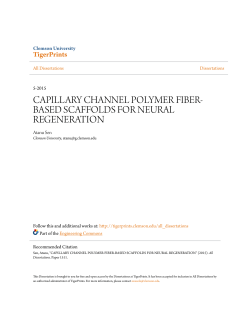 capillary channel polymer fiber-based scaffolds for neural