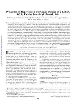 Prevention of Hypertension and Organ Damage in 2-Kidney, 1