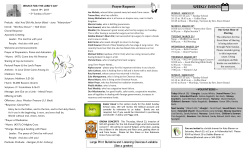 Lent Out on a Limb &ndash; Mend Fences