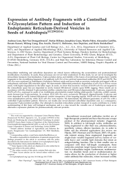 Expression of Antibody Fragments with a