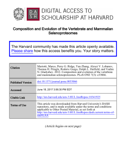 Composition and Evolution of the Vertebrate and Mammalian