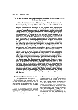The Diving Response Mechanism and its