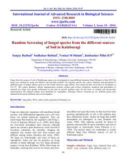 Random Screening of fungal species from the different