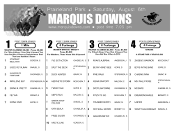 1 Mile 6 Furlongs 6 Furlongs