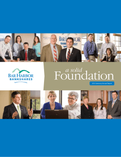 2013 Summary Annual Report