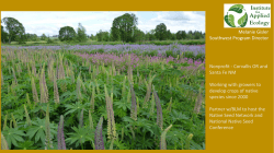 Need for Seed