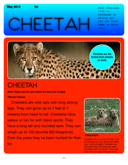 tal mammal magazine - Scarsdale Public Schools