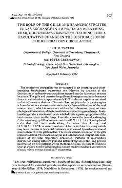 THE ROLE OF THE GILLS AND BRANCHIOSTEGITES IN GAS