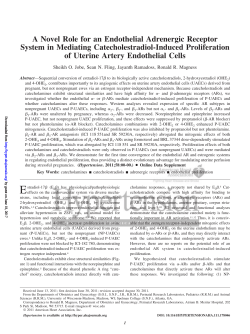 A Novel Role for an Endothelial Adrenergic Receptor System in