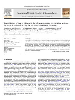 Consolidation of quarry calcarenite by calcium carbonate