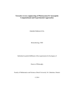 Towards reverse engineering of Photosystem II