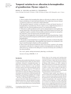 Temporal variation in sex allocation in hermaphrodites of