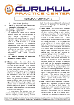 Reproduction of plants - The Gurukul Practice Center