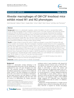 Alveolar macrophages of GM-CSF knockout mice exhibit mixed M1