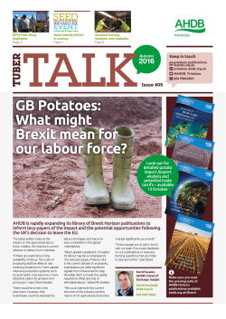 GB Potatoes: What might Brexit mean for our labour force?