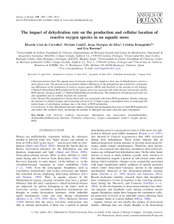 The impact of dehydration rate on the production and cellular