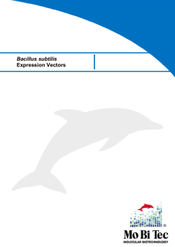 Bacillus subtilis Expression Vectors