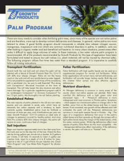 Palm Program - Growth Products