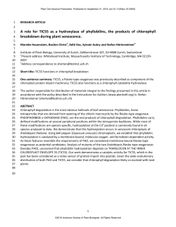 A role for TIC55 as a hydroxylase of phyllobilins, the