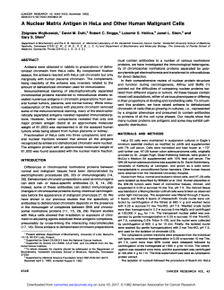 A Nuclear Matrix Antigen in HeLa and Other