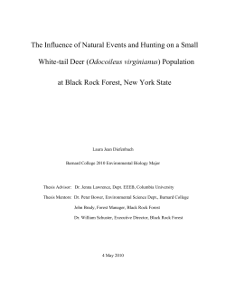Diefenbach, L. 2010 - Black Rock Forest Consortium