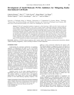 Development of Small-Molecule PUMA Inhibitors for Mitigating