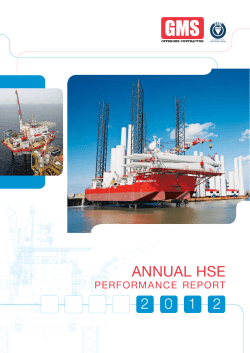 HSE Annual Performance Report 2012