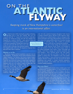 On the Atlantic Flyway - New Hampshire Fish and Game Department